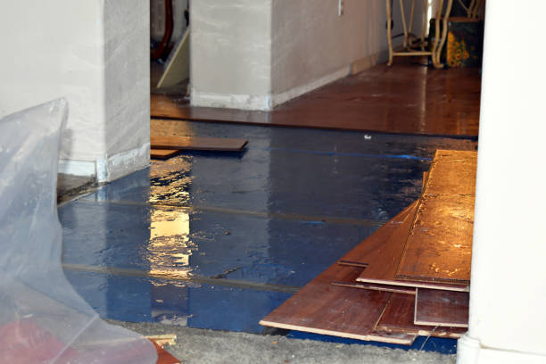 Professional Basement Flood Cleanup technician working in Mattoon, WI